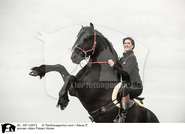 woman rides Frisian Horse / AP-12673