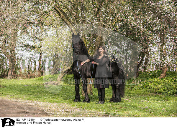 Frau und Friese / woman and Frisian Horse / AP-12884