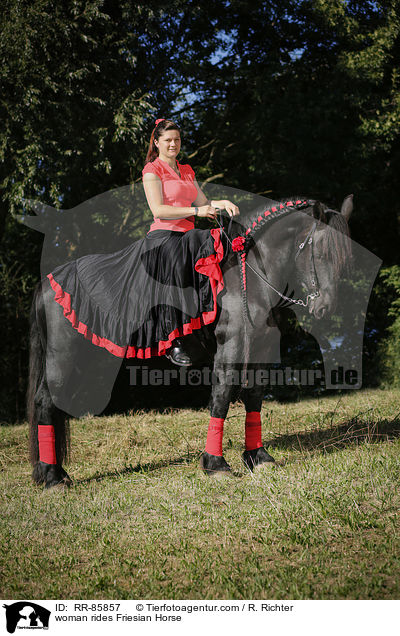 woman rides Friesian Horse / RR-85857