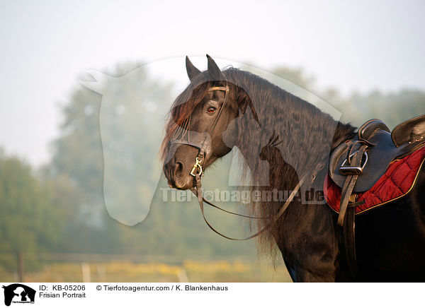 Friese Portrait / Frisian Portrait / KB-05206