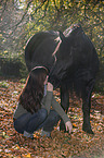 woman and Frisian horse