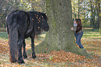 woman and Frisian horse