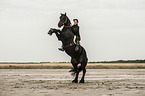 woman rides Frisian Horse