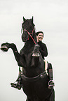 woman rides Frisian Horse