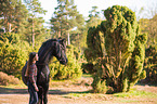 girl and Frisian horse