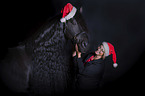 Friesian Horse with a woman