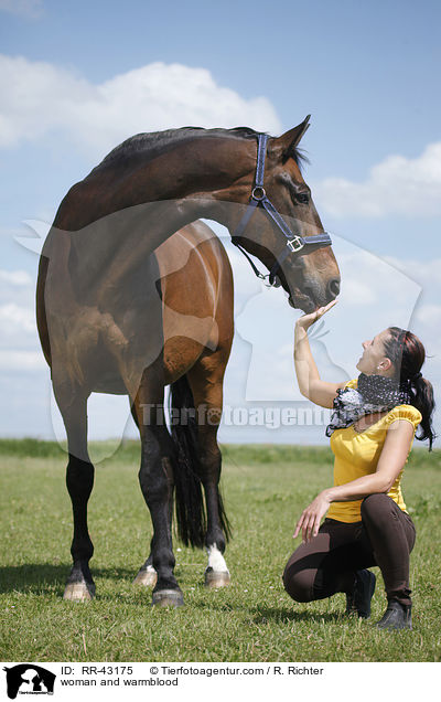 Frau und Deutsches Reitpferd / woman and warmblood / RR-43175