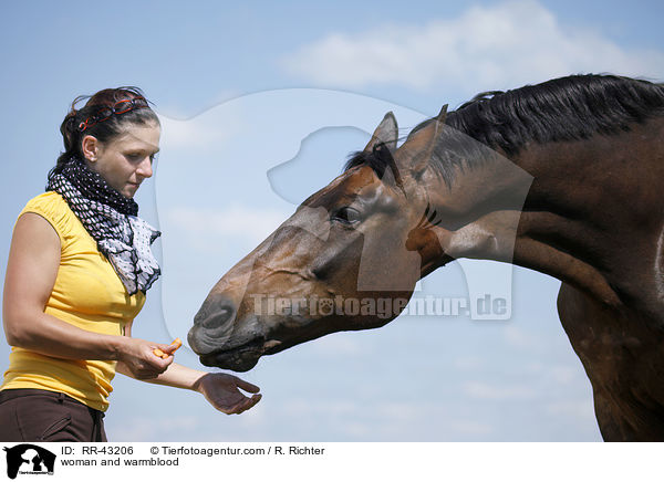 Frau und Deutsches Reitpferd / woman and warmblood / RR-43206