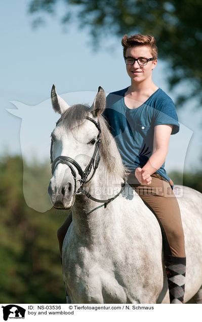 Junge und Deutsches Reitpferd / boy and warmblood / NS-03536