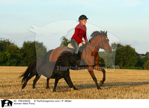 Frau reitet Deutsches Reitpony / woman rides Pony / PM-04626