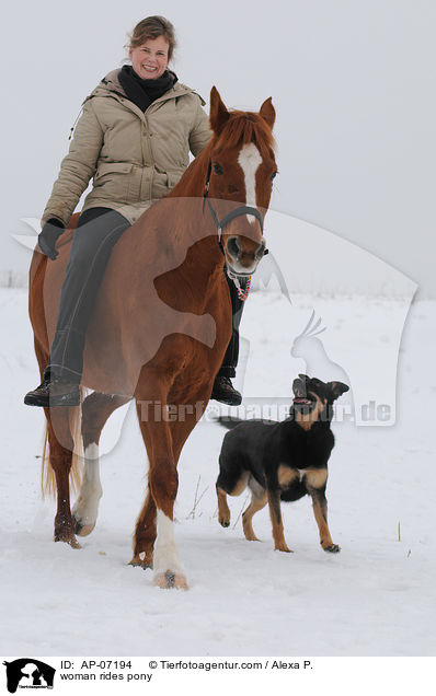 Frau reitet Deutsches Reitpony / woman rides pony / AP-07194