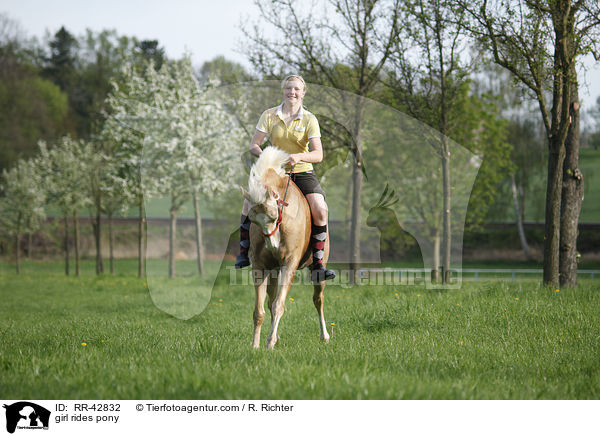 Mdchen reitet Deutsches Reitpony / girl rides pony / RR-42832