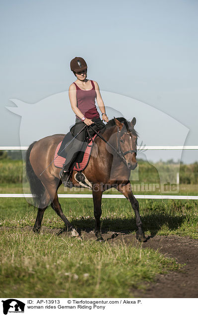 Frau reitet Deutsches Reitpony / woman rides German Riding Pony / AP-13913