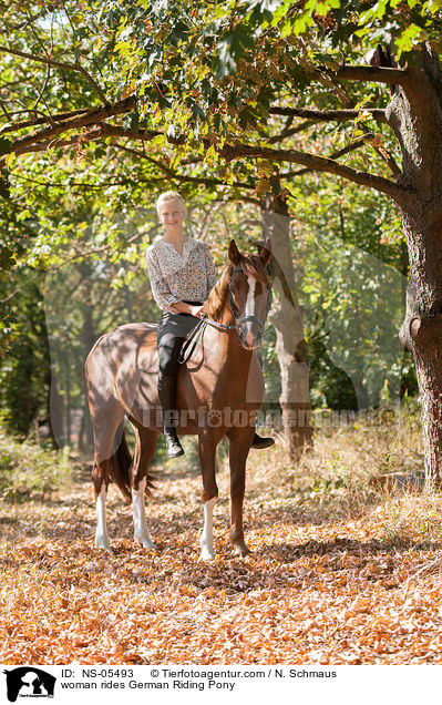 Frau reitet Deutsches Reitpony / woman rides German Riding Pony / NS-05493