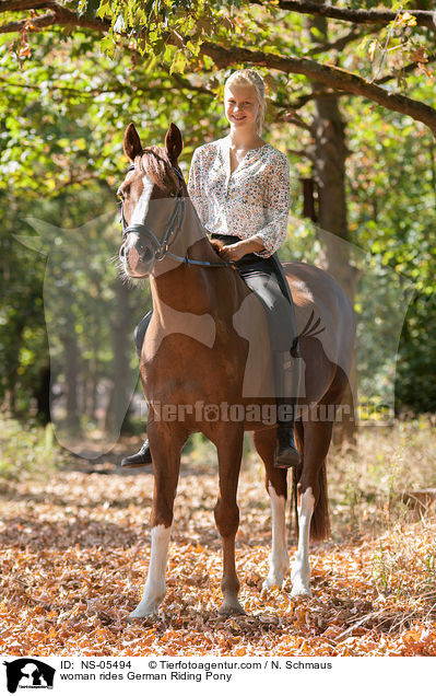 Frau reitet Deutsches Reitpony / woman rides German Riding Pony / NS-05494