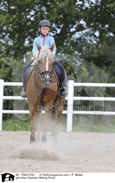 Mdchen reitet Deutsches Reitpony / girl rides German Riding Pony / PM-07291