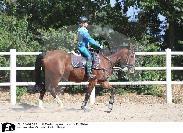 Frau reitet Deutsches Reitpony / woman rides German Riding Pony / PM-07592