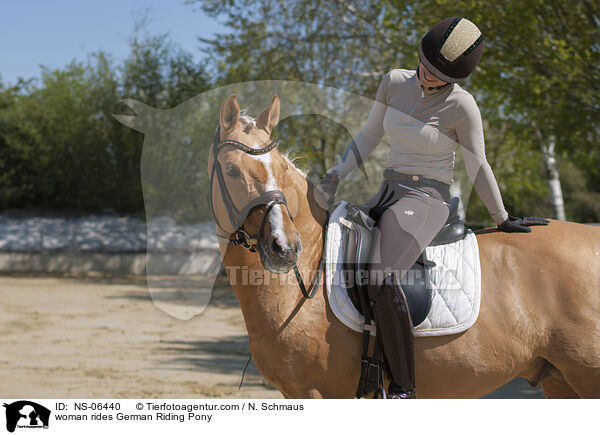 woman rides German Riding Pony / NS-06440