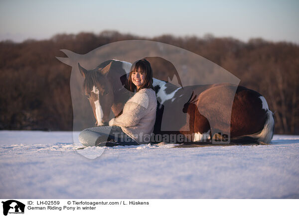 Deutsches Reitpony im Winter / German Riding Pony in winter / LH-02559