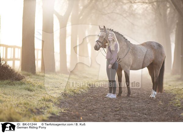 Deutsches Reitpony / German Riding Pony / BK-01244