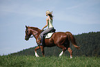 trotting horse