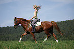 trotting horse