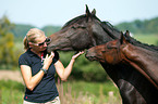 woman with horses