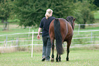 woman and German Riding Pony