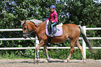 girl rides German Riding Pony