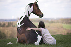 sitting German Riding Pony