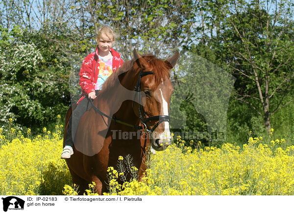 Mdchen auf Pferd / girl on horse / IP-02183