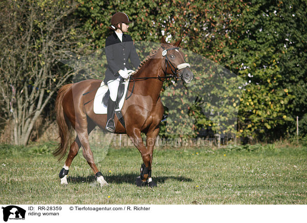 Reiterin auf Deutschem Sportpferd / riding woman / RR-28359