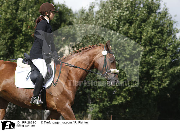 Reiterin auf Deutschem Sportpferd / riding woman / RR-28380