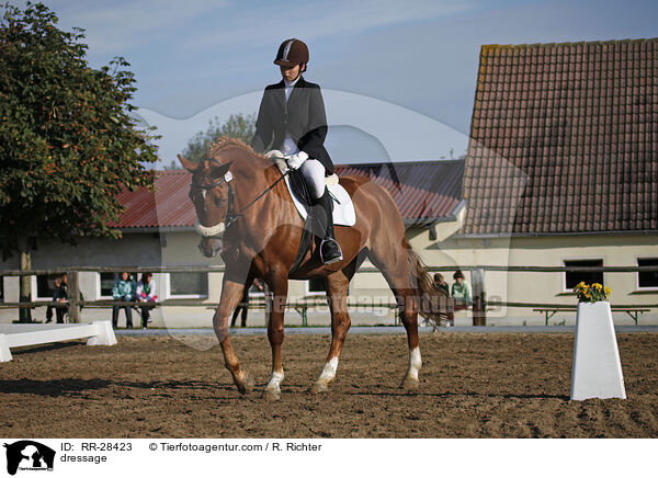 E-Dressur Prfung / dressage / RR-28423