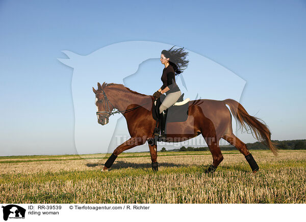 Reiterin / riding woman / RR-39539