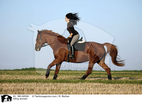 Reiterin / riding woman / RR-39558