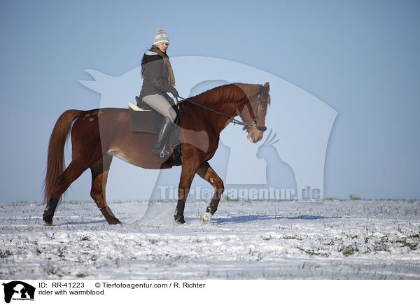 Reiter mit Deutschem Sportpferd / rider with warmblood / RR-41223