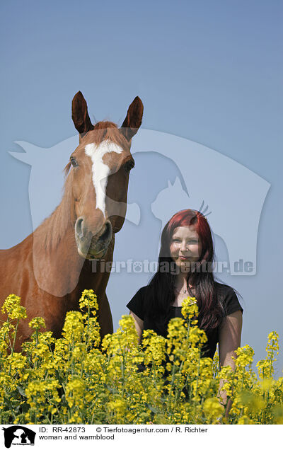 woman and warmblood / RR-42873