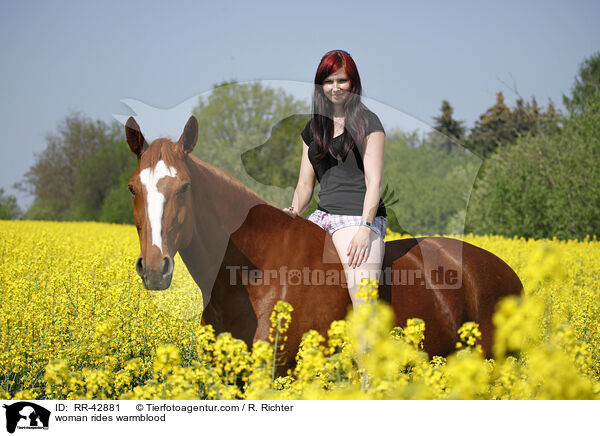 Frau reitet Deutsches Sportpferd / woman rides warmblood / RR-42881