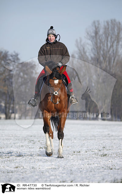 Frau reitet Deutsches Sportpferd / woman rides warmblood / RR-47730