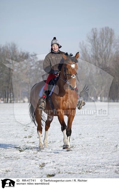 Frau reitet Deutsches Sportpferd / woman rides warmblood / RR-47741