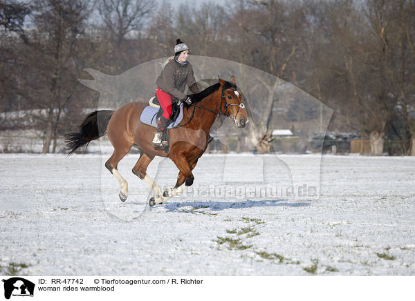 woman rides warmblood / RR-47742