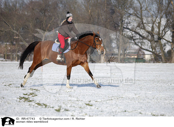 woman rides warmblood / RR-47743