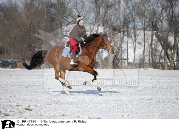 Frau reitet Deutsches Sportpferd / woman rides warmblood / RR-47744