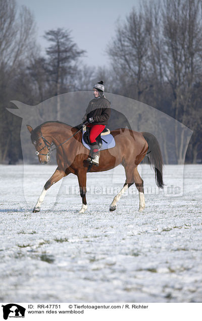 woman rides warmblood / RR-47751