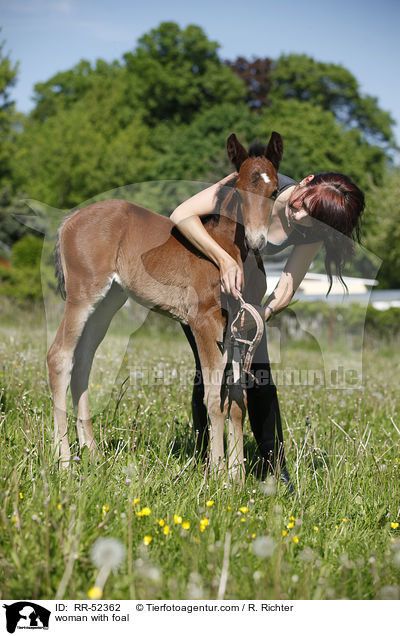 woman with foal / RR-52362