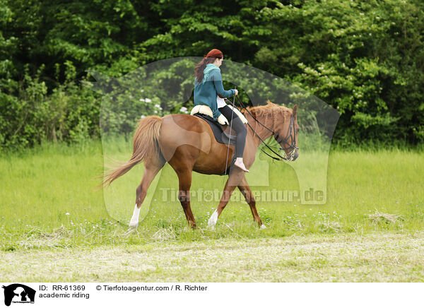 Akademische Reitkunst / academic riding / RR-61369