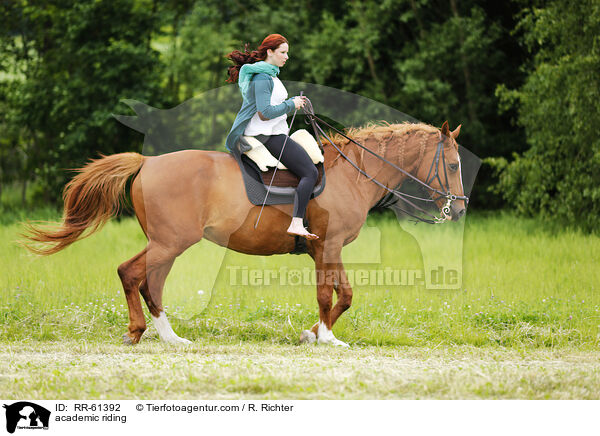 Akademische Reitkunst / academic riding / RR-61392