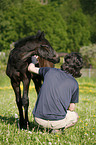 young man with foal