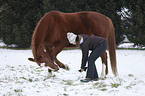 woman and warmblood